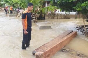 Warga Sebut Banjir di Pesisir Selatan Akibat Illegal Logging, Penegak Hukum Mesti Tindak Tegas