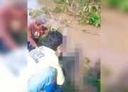 Begini Kata Camat Kronologi Penemuan Dua Korban Tenggelam di Batang Lunang Pesisir Selatan