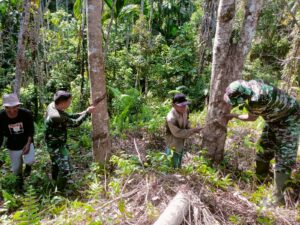 Satgas TMMD Kodim 0311 Pesisir Selatan Bantu Warga Panen Karet