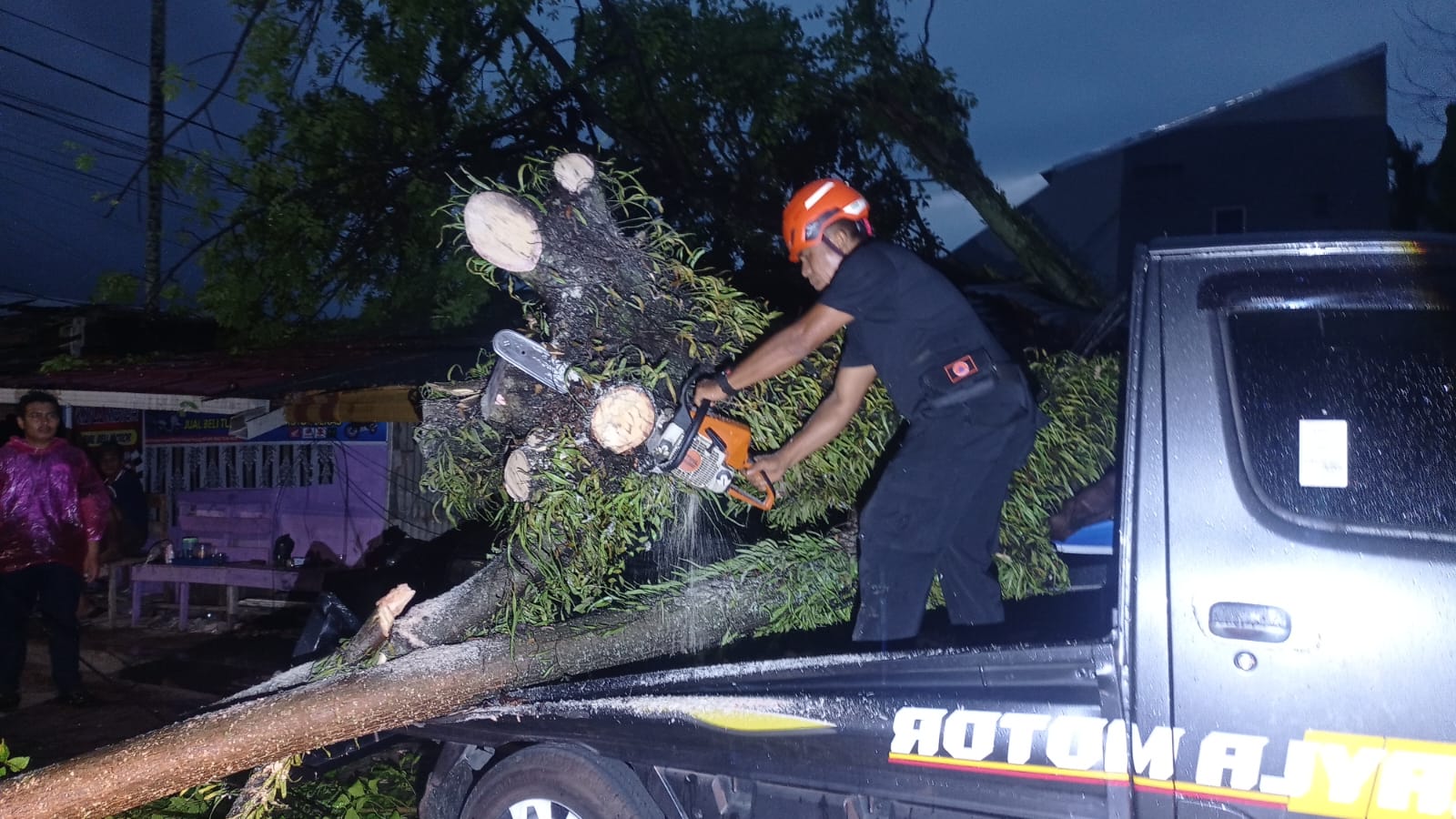 Hujan Deras Disertai Angin Kencang, Pohon Kedondong Raksasa Tumbang Timpa Rumah dan Dua Mobil di Padang
