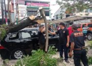 Pohon Tumbang Timpa Mobil dan Hambat Akses Jalan