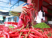 Harga Cabai Merah di Pasar Raya Padang Naik Lagi, Beban Dapur Warga Kian Berat!
