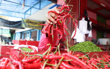 Harga Cabai Merah di Pasar Raya Padang Naik Lagi, Beban Dapur Warga Kian Berat!