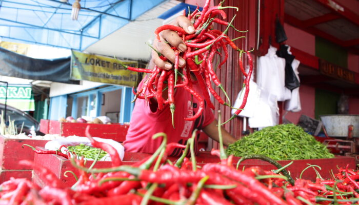 Harga Cabai Merah di Pasar Raya Padang Naik Lagi, Beban Dapur Warga Kian Berat!
