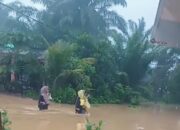 Puluhan Rumah Warga di Pesisir Selatan Terendam Banjir