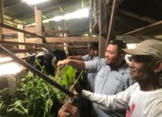 Kampung Padayo