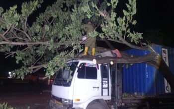 Truk Tabrak Pohon di By Pass Kilometer 2, Jalur By Pass Lumpuh Total Jumat Malam