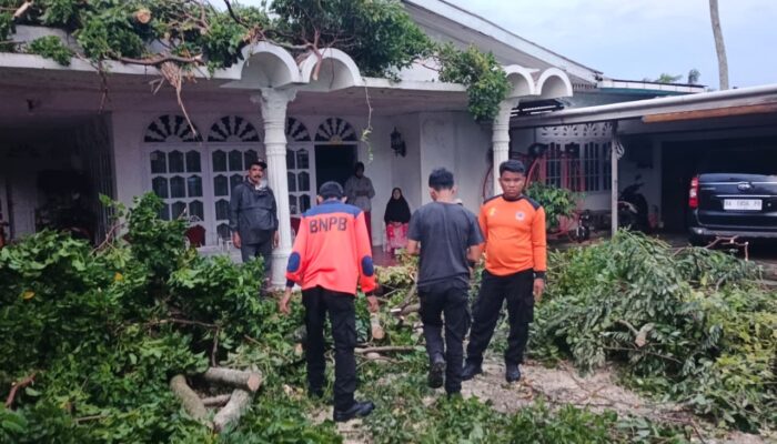 Hujan Badai Guncang Kota Solok: 12 Kelurahan Terdampak, Puluhan Rumah dan Kantor Rusak Parah!