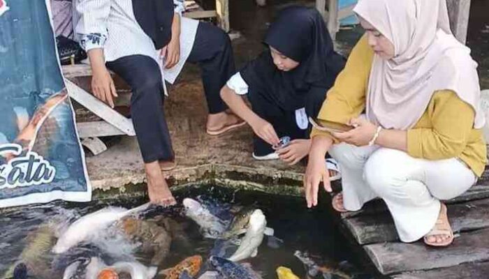 Nakata Koi, Dari  Ketekunan Menjadi Destinasi Wisata