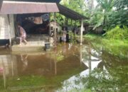 BPBD Kota Pariaman Catat Belasan Kejadian Kerusakan Akibat Banjir dan Angin Kencang