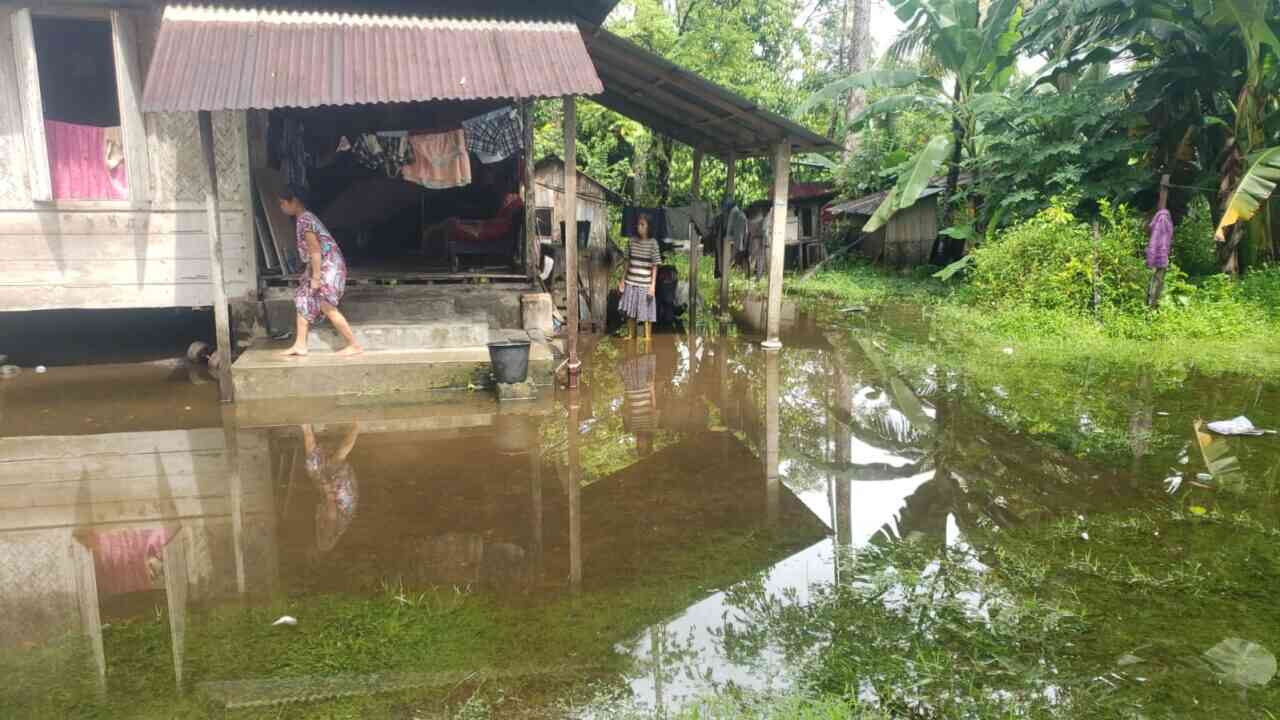 BPBD Kota Pariaman Catat Belasan Kejadian Kerusakan Akibat Banjir dan Angin Kencang