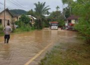 Banjir Rendam Dua Kampung di Nagari Duku, Kapolsek Tarusan Turun Langsung ke Lokasi