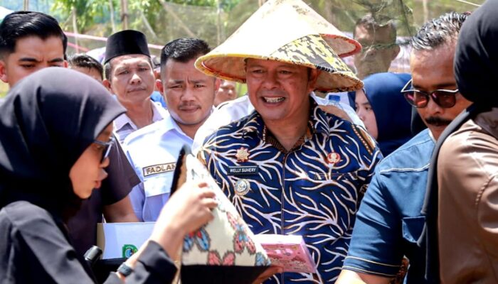 Petani di Pasaman Bakal Terima Layanan Bajak Gratis