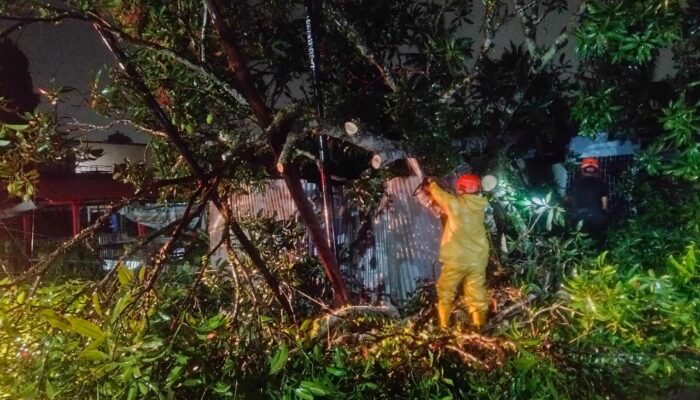 Pohon Tumbang Ganggu Akses Warga Pagang Dalam