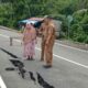“Jalan Tiba-Tiba Amblas 50 Meter, Akses Warga Teluk Bayur Lumpuh, Dua Tiang Listrik Terancam Roboh”