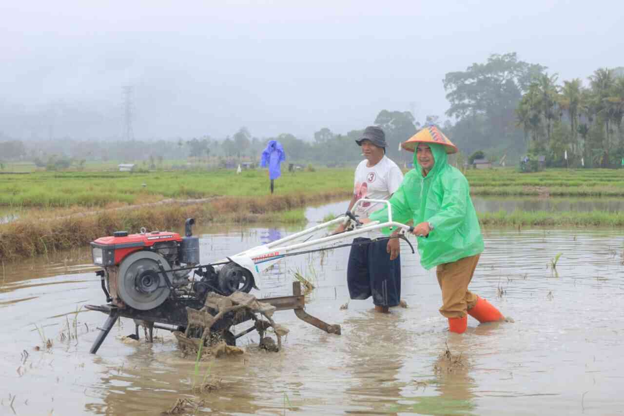 Pemkab Pasaman Luncurkan Layanan Bajak Gratis, Petani Kini Lebih Terbantu