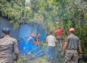 Pohon Hempaskan Atap Gudang di Padang, Kerugian Capai Jutaan Rupiah