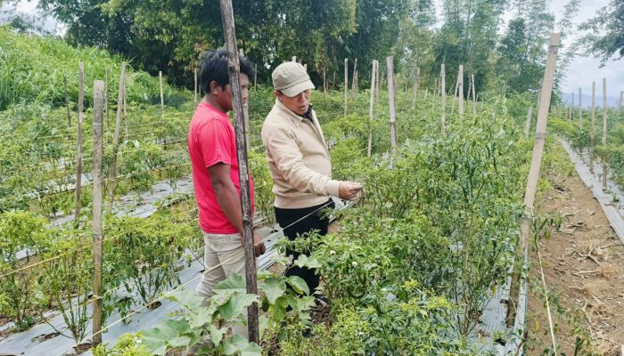 BI Pastikan Stok Bahan Pokok Aman Hingga Akhir Tahun