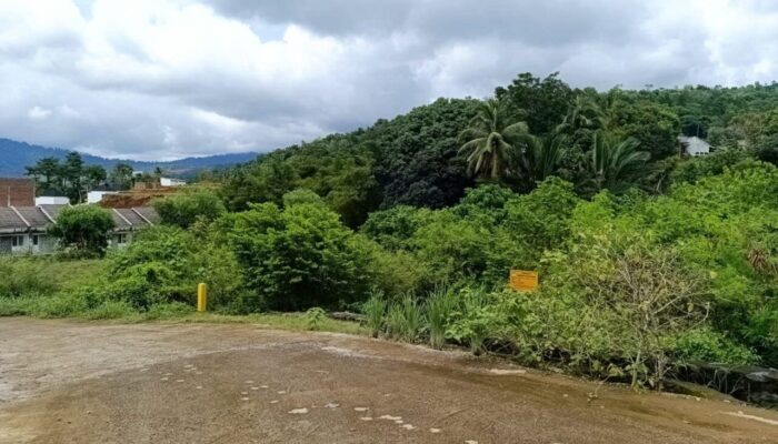 Pemko Padang Bakal Bangun Huntap, Lahan Tersedia 3,5 Hektare