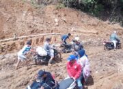 Pemulihan Tak Mungkin Tanpa Status Bencana Nasional