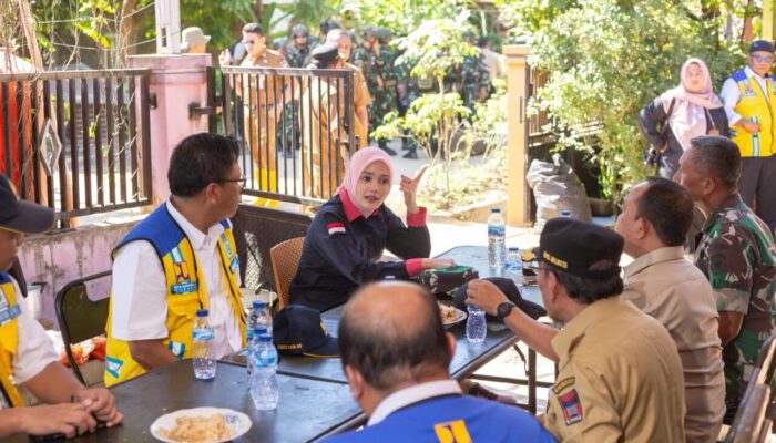 Tinjau Daerah Terdampak Bencana, Cerint Irralloza Tasya: Masifnya Pembalakan Liar