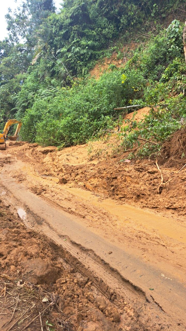 Jalan Bancah Laweh di Kecamatan Simpati Ditutup Sementara, BPBD Imbau Warga Cari Jalur Alternatif