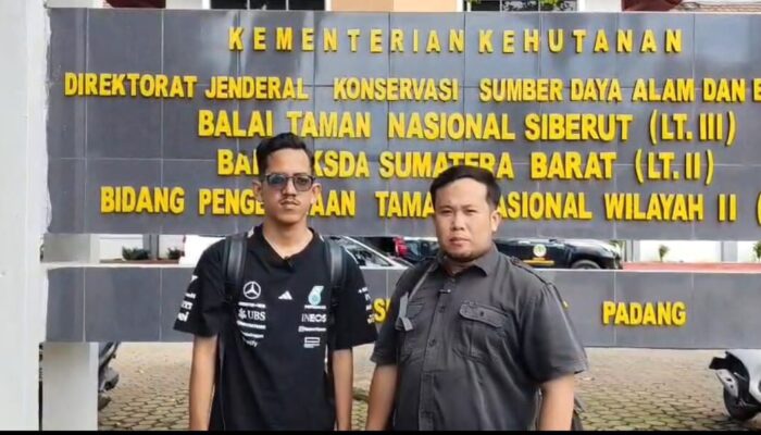 Walhi Laporkan Dugaan Illegal Logging di SM Bukit Barisan