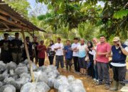 Bantuan Besar-besaran untuk Kelompok Budidaya Ikan Diserahkan, Dukung Kemandirian Pangan Dharmasraya