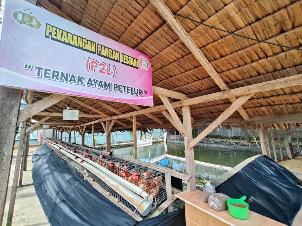 Presiden Prabowo Dijadwalkan Sambangi Polsek Koto Tangah yang Aktif Garap Lahan Pangan