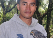 Sosial Media dalam Bencana