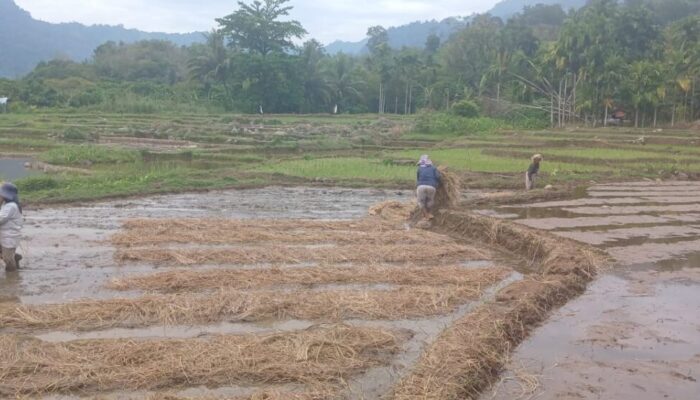 26.503 Warga Bungus Terancam Jadi Korban Bencana