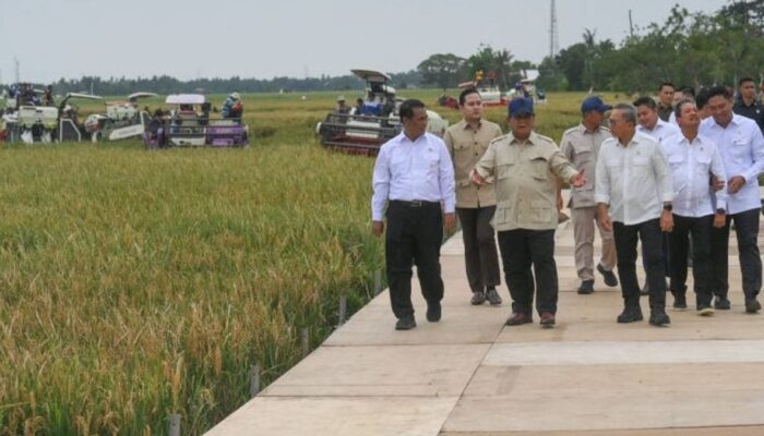 Indonesia Swasembada Beras Tahun 2025, Lebih Cepat dari Target