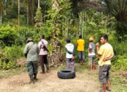 Seekor Sapi Mati Diterkam Harimau, Warga Lubuk Betung Pessel Dilanda Kecemasan