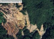 Izin 28 Perusahaan Dicabut, Butuh Tindakan Substantif Lanjutan untuk Menyelamatkan Lingkungan