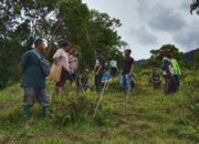 Petani Tigo Lurah Solok Hilang Saat Cari Durian, Ratusan Warga Turun Lakukan Pencarian