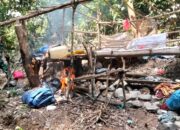 Polisi Tindak Tambang Emas Ilegal di Hulu Sungai Batang Penadah Tapan, Sejumlah Alat Disita