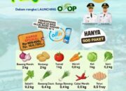 Pemkab Dharmasraya Gelar Bazar Pertanian Dalam rangka Launching Program OVOP