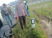Kecelakaan Tunggal di Koto XI Tarusan Pessel, Pengendara Motor Tewas Usai Terjatuh