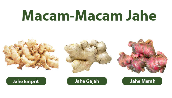 6 Bumbu Dapur yang Bisa Ringankan Flu dan Batuk