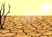 Kekeringan dan Kekurangan Air Bersih Membayangi, 5 Daerah Butuh Perhatian Khusus