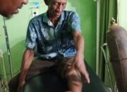 Beruang Mengamuk Di Areal Persawahan, Tiga Petani Sinuruik Dilarikan Kerumah Sakit