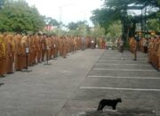 Pemko Padang Terapkan WFA Mulai 16 Maret 2026