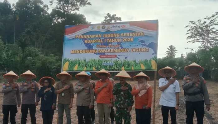 Kapolres Pessel Pimpin Tanam Jagung Serentak, Dukung Program Swasembada Pangan Presiden