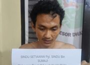 Pencuri Sawit Tertangkap, Fakta Mengejutkan Terungkap Saat Digeledah