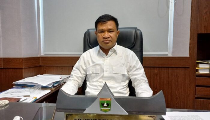 Khairuddin Simanjuntak Salurkan Bantuan, Sektor Pertanian Pasaman Masih Bermasalah
