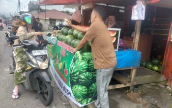 Hujan Pengaruhi Penjualan Semangka di Padang Panjang