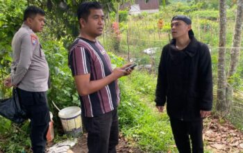 Dua Remaja Putri Diduga Bunuh Diri di Kawasan Kebun Teh Solok, Satu Meninggal, Satunya lagi Selamat