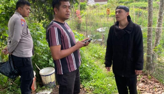 Dua Remaja Putri Diduga Bunuh Diri di Kawasan Kebun Teh Solok, Satu Meninggal, Satunya lagi Selamat