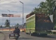 Sawit Pessel “Merantau” ke Luar Daerah, DPRD Desak Pergub TBS Swadaya