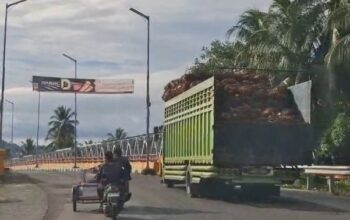 Sawit Pessel “Merantau” ke Luar Daerah, DPRD Desak Pergub TBS Swadaya